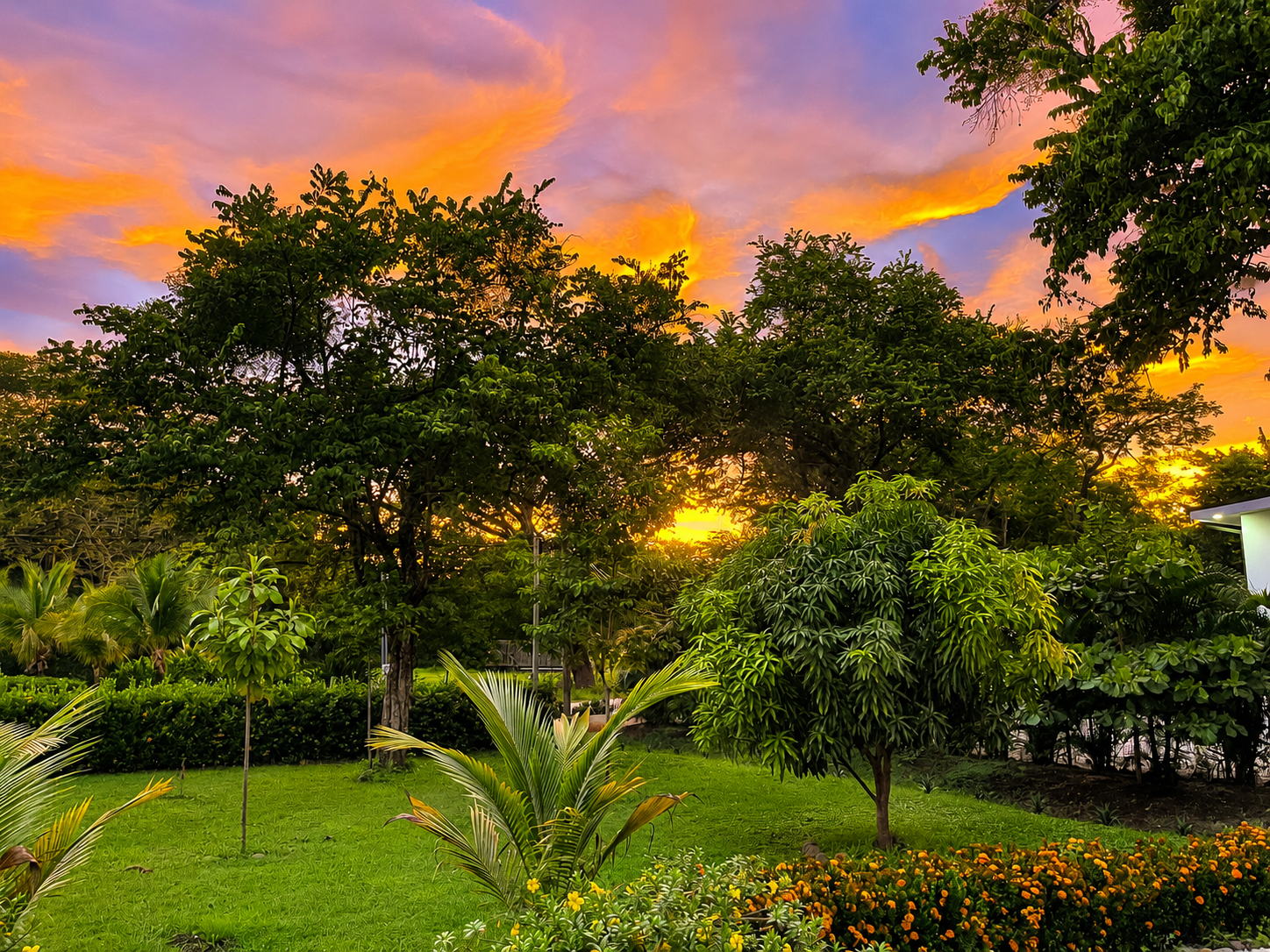 Casa Tranquila front yard at sunset